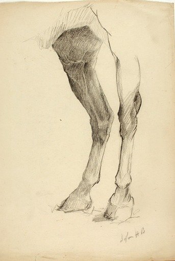 Horse's Leg