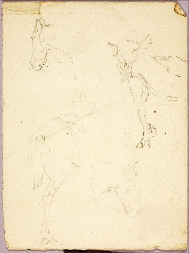 Horses