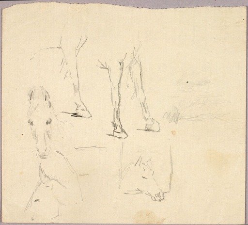 Horses