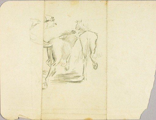 Horses