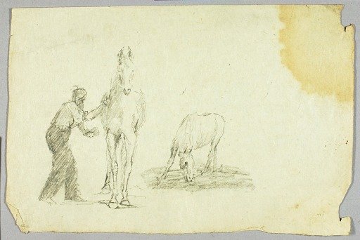 Horses