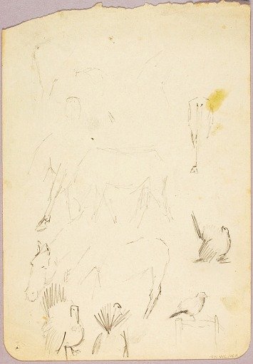 Horses and Turkeys