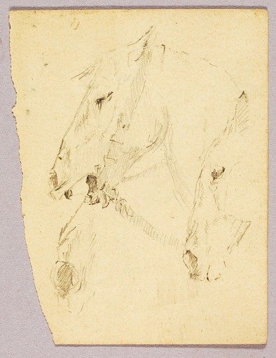 Horses' Heads