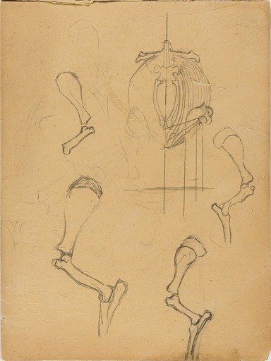 Sketch Book