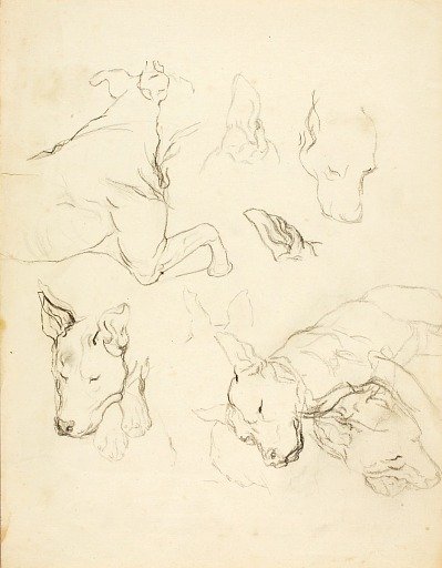 Sleeping Dogs