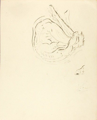 Swimmer
