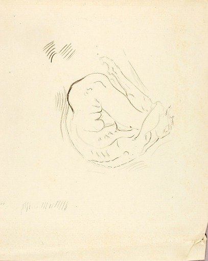 Swimmer