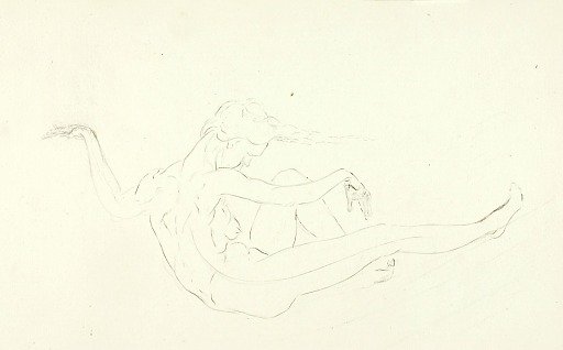Swimming Nude