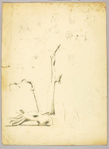 Tree Trunks and Sheep