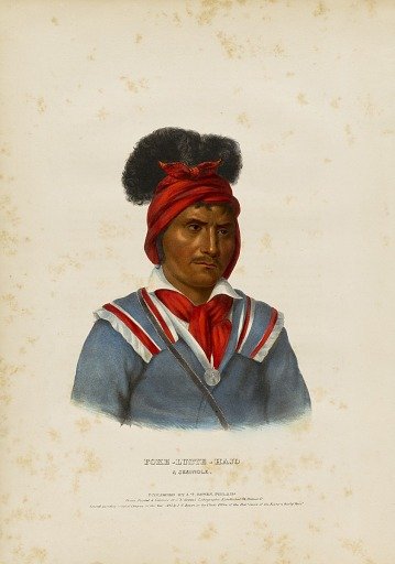 Foke-luste-hajo, a Seminole