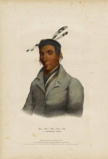 Ka-ta-wa-be-da, a Chippeway Chief