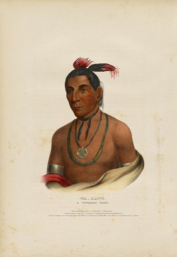 Wa-kawn, a Winnebago Chief