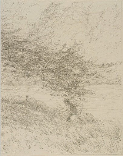 The Pine Bough