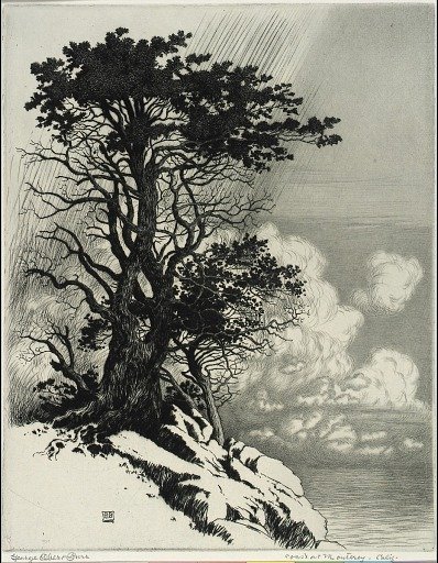 Coast at Monterey, California