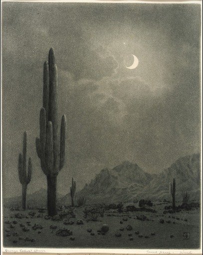 New Moon and Evening Star, Phoenix