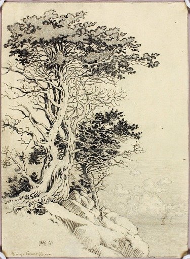 Untitled (drawing for print)