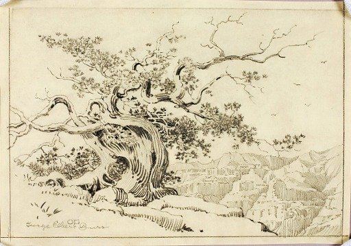 Untitled (transfer drawing for Evening, Apache Trail, Arizona)