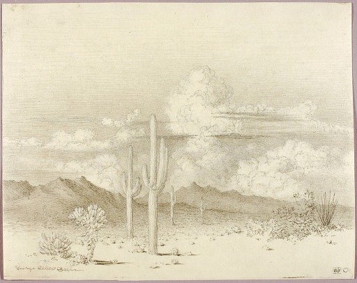 Untitled (transfer drawing for Evening, Paradise Valley, Arizona)