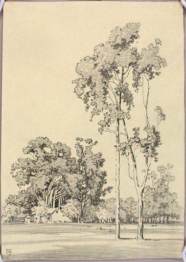 Untitled (transfer drawing for print)