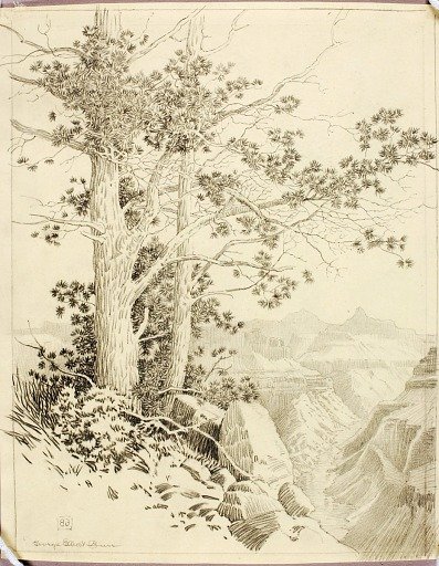 Untitled (transfer drawing for print)