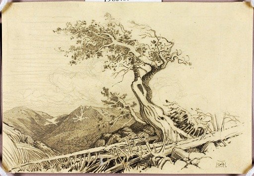 Untitled (transfer drawing for print)