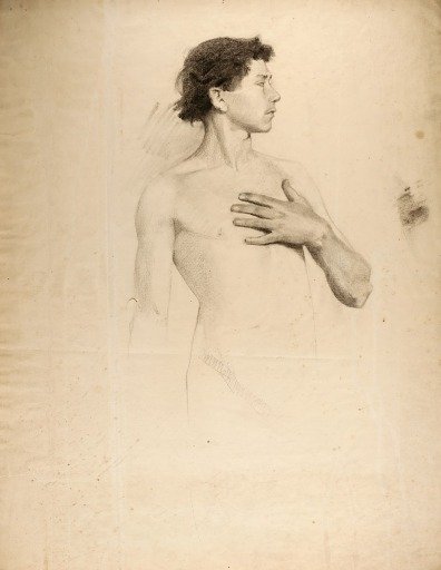 Nude Boy, Torso and Head