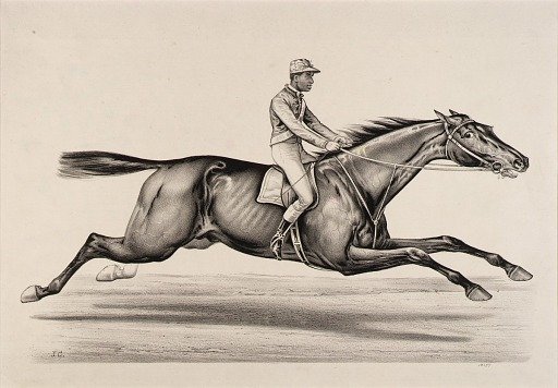 Emperor of Norfolk