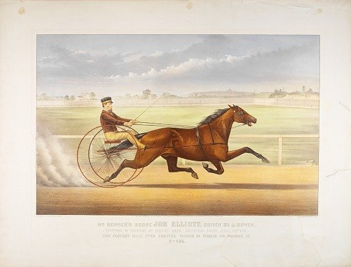 Mr. Bonner's Horse Joe Elliott