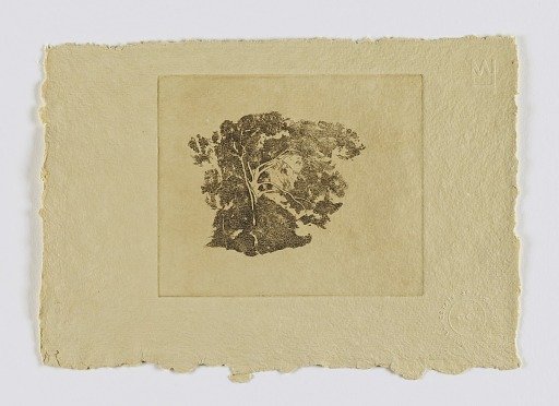 Tree Study (fm. portfolio)