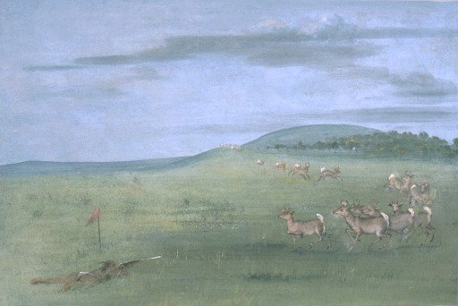 Antelope Shooting, Decoyed Up