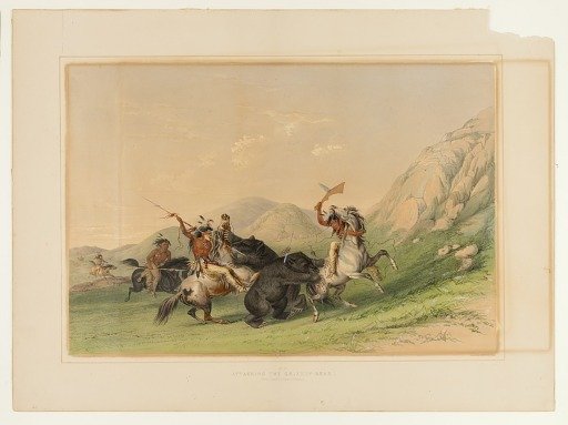 Attacking the Grizzly Bear--no. 19