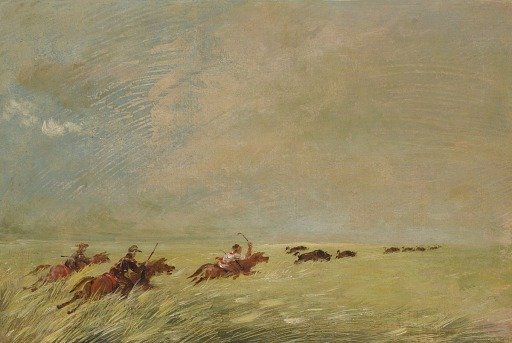 Bogard, Batiste, and I Chasing Buffalo in High Grass on a Missouri Bottom
