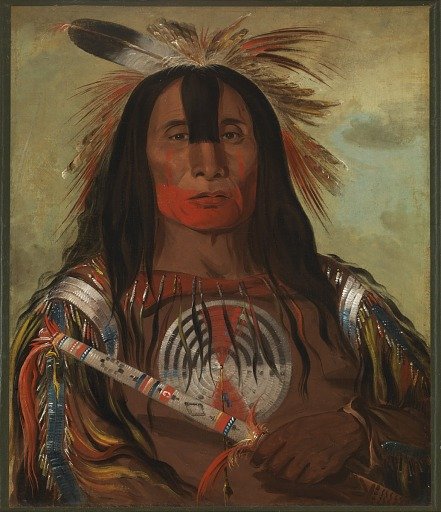Stu-mick-o-súcks, Buffalo Bull's Back Fat, Head Chief, Blood Tribe