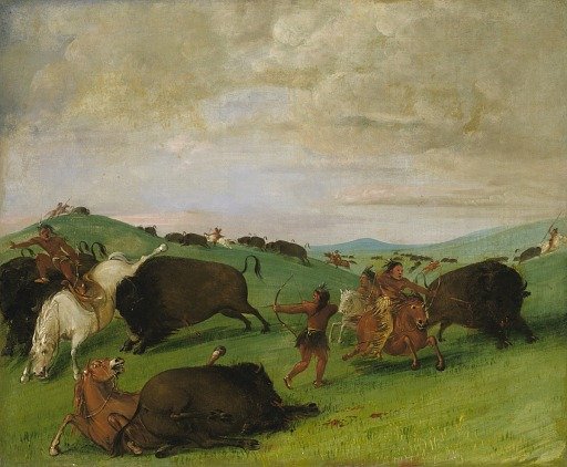 Buffalo Chase, Bulls Making Battle with Men and Horses