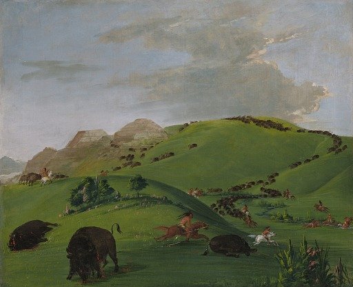 Buffalo Chase, Mouth of the Yellowstone
