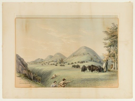 Buffalo Hunt; Approaching in a Ravine--no. 11