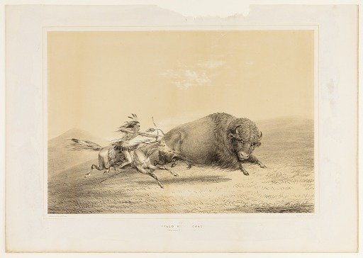 Buffalo Hunt, Chase--no. 5