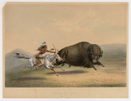 Buffalo Hunt, Chase--no. 5
