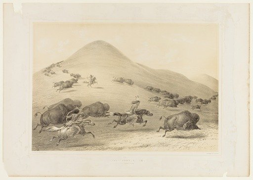 Buffalo Hunt, Chase--no. 6