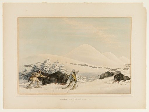 Buffalo Hunt, on Snowshoes--no. 15