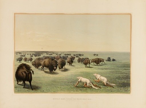 Buffalo Hunt, under the White Wolfskin--no. 13