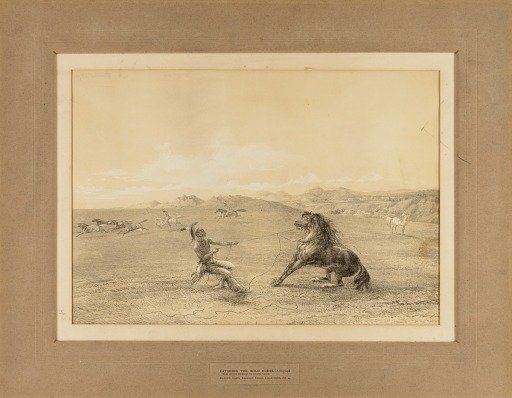Catching the Wild Horse--no. 4