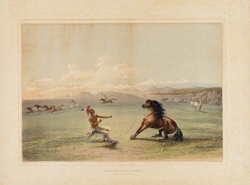 Catching the Wild Horse--no. 4