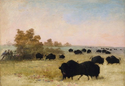 Catlin and Party Stalking Buffalo, Upper Missouri