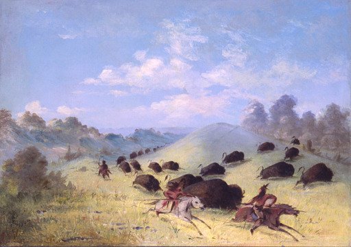 Comanche Indians Chasing Buffalo with Lances and Bows