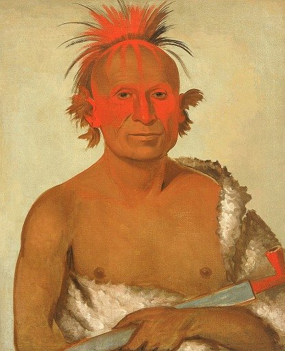 Pash-ee-pa-hó, Little Stabbing Chief, the Younger, One of Black Hawk's Braves
