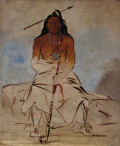 Ah-sháw-wah-róoks-te, Medicine Horse, a Grand Pawnee Brave
