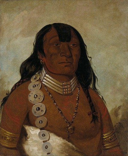 Téh-tóot-sah (better known as Tohausen, Little Bluff), First Chief