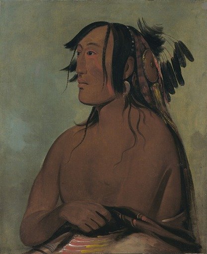 Pa-ris-ka-roó-pa, Two Crows, the Younger