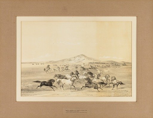 Wild Horses at Play--no. 3